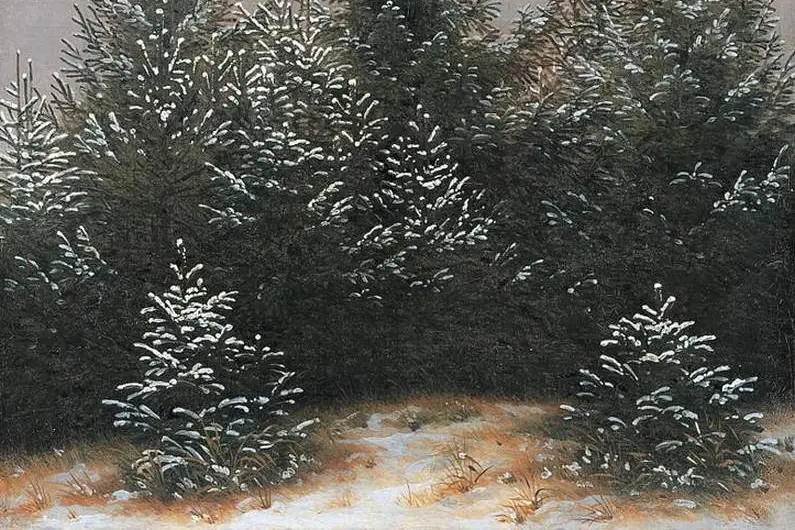 Stopping by Woods on a Snowy Evening