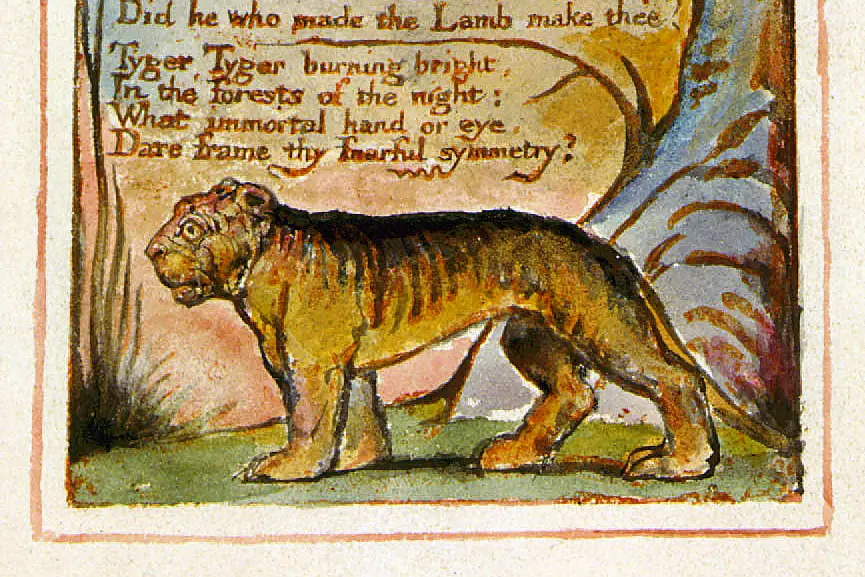 The Tyger